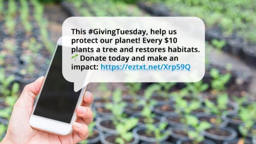GivingTuesday SMS fundraising