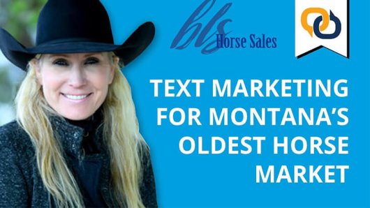 Montana Horse Market Thumbnail